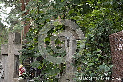 Traditional old polish cemetery, eastern europe cemetery Editorial Stock Photo