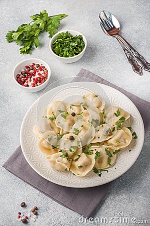 Traditional pelmeni, ravioli, dumplings filled with meat on plate, russian kitchen Stock Photo