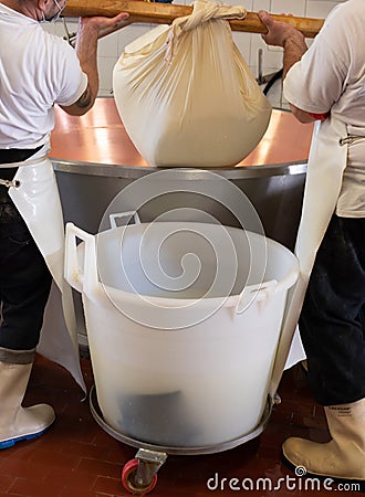 Process of making wheels of parmigiano-reggiano parmesan cheese on small cheese farm in Parma, Italy Editorial Stock Photo