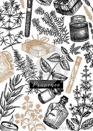 Traditional Provence herbs design. Hand-sketched aromatic and medicinal plants template. For cosmetics, perfumery, soap, candle Vector Illustration