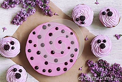 Traditional purple berry cupcakes and mousse Stock Photo