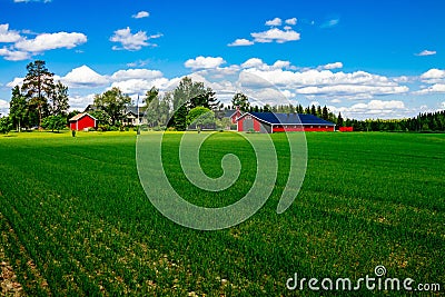 Traditional red farm house barn with white trim in open pasture with blue sky in Finland Stock Photo