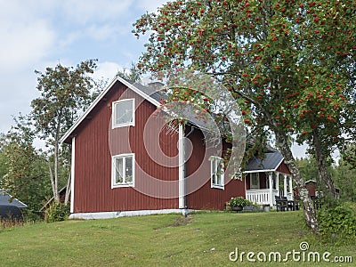 Traditional red wooden house in Kvikkokk with porch and rowen tree with ripe rowenberries. Northern Sweden Lapland Stock Photo