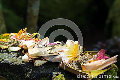 Traditional religious balinese offerings in Bali Stock Photo