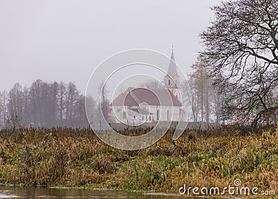 Traditional river bank vegetation in autumn, various reeds and grass on the river bank, bare trees and misty church silhouette in Stock Photo