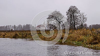 Traditional river bank vegetation in autumn, various reeds and grass on the river bank, bare trees and misty church silhouette in Stock Photo