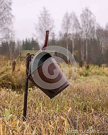 Traditional river bank vegetation in autumn, various reeds and grass on the river bank, bare trees, rusty metal bucket and pan on Stock Photo