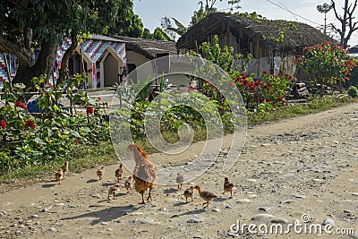 Traditional rural village at Chitwan in Nepal Editorial Stock Photo