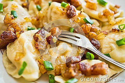 Traditional russian dumplings Stock Photo