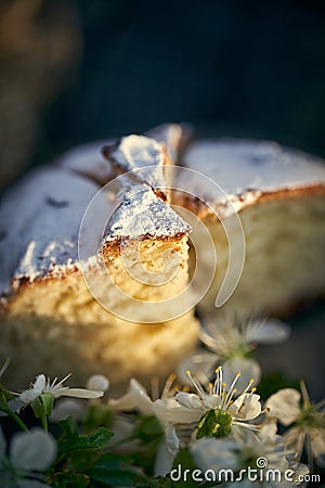 Traditional russian Easter cottage cheese dessert. Orthodox paskha, kulich cakes on table. Stock Photo