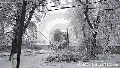 Fallen tree branches on a power line in a snowy winter. Dangling wires from torn branches. Stock Photo