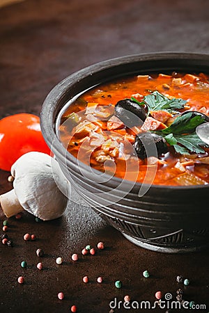 Traditional Russian soup solyanka Stock Photo