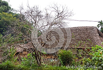 Traditional stilted house this charming home stay belongs to a local Tay family. Stock Photo