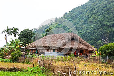 Traditional stilted house this charming home stay belongs to a local Tay family. Stock Photo