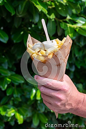 Traditional street food in Belgium and Netherlands, French fried potatoes chips with mayonnaise sauce in paper cone Stock Photo