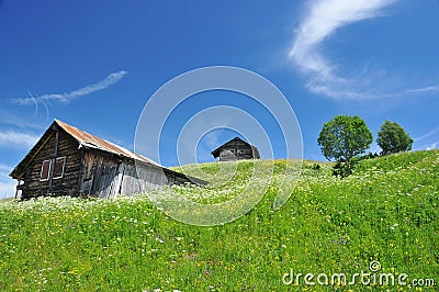 Traditional swiss log cabins in meadows Stock Photo