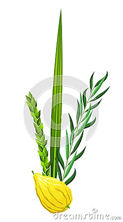 Traditional symbols of Sukkot Vector Illustration