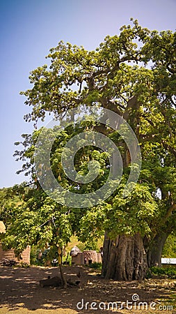 Traditional Tammari people village of Tamberma at Koutammakou, the Land of the Batammariba, Kara region, Togo Stock Photo