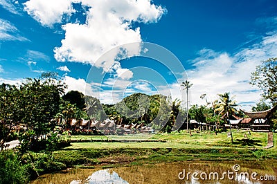 Traditional Tana Toraja village, tongkonan houses and buildings. Sunny, blue sky with clouds, lake in a foreground. Kete Kesu, Ran Stock Photo