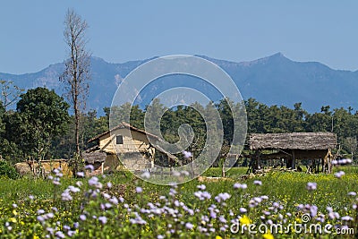 Traditional taru house in Bardia, Nepal Stock Photo