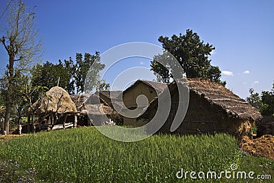 Traditional taru houses in Terai, Nepal Editorial Stock Photo