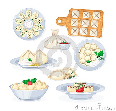 Traditional tasty food dumplings mantas ravioli khinkali kurze vareniki. Vector Illustration