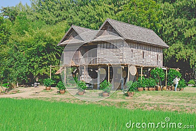 Traditional Thai wooden house with green rice field at countryside. Editorial Stock Photo