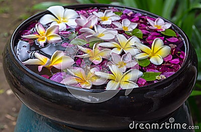 Traditional thailand perfume water mixes with flowers Stock Photo