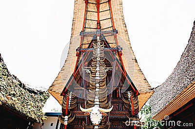 Traditional torajan building tongkonan with a lot of buffalo horns on a facade. Tana Toraja, Palawa, Rantepao, Sulawesi, Indonesia Stock Photo