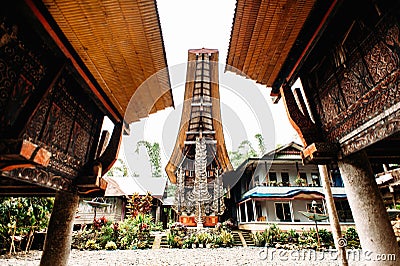 Traditional torajan building tongkonan with carving and buffalo horns on a facade. Tana Toraja, Rantepao, Sulawesi, Indonesia Stock Photo