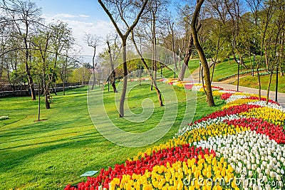 Traditional Tulip Festival in Emirgan Park in Istanbul,Turkey Stock Photo