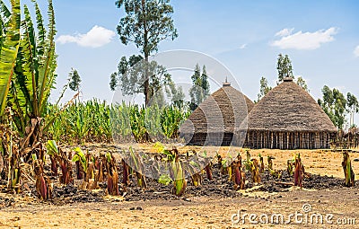 Traditional village houses in Ethiopia Stock Photo