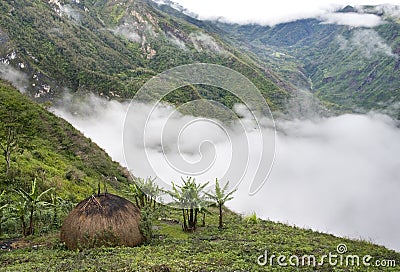 A traditional village in Papua Stock Photo