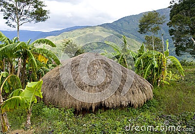 Traditional village in Papua, Indonesia. Stock Photo