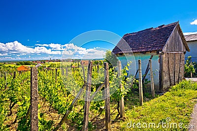 Traditional vineyard and cottage in Vrbovec Stock Photo