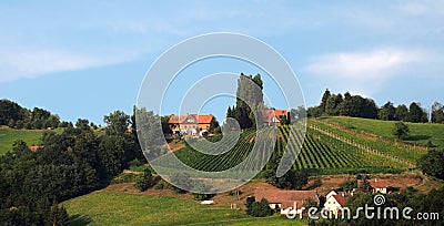 Traditional vineyard in lower Styria Stock Photo