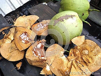traditional way of peeling coconut Stock Photo