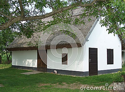 Traditional wine cellar Stock Photo