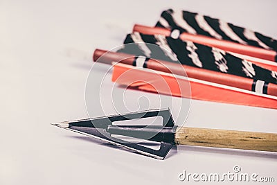 Traditional Wooden Archery Arrows on White Stock Photo