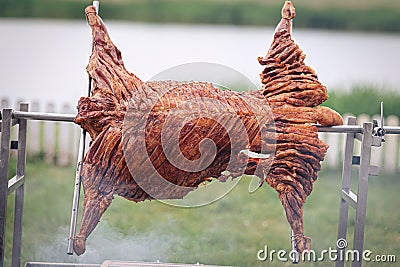 traditionally prepared grilled lamb shank Stock Photo