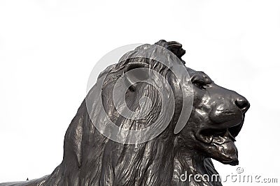 Trafalgar Square Lion Head - London Editorial Stock Photo