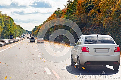 Traffic of cars by day along a busy road among autumn trees and flying yellow leaves. Stock Photo