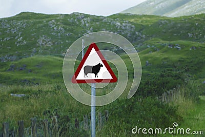 Traffic sign, sheep on white background with red triangle in the Highlands of Scotland Stock Photo