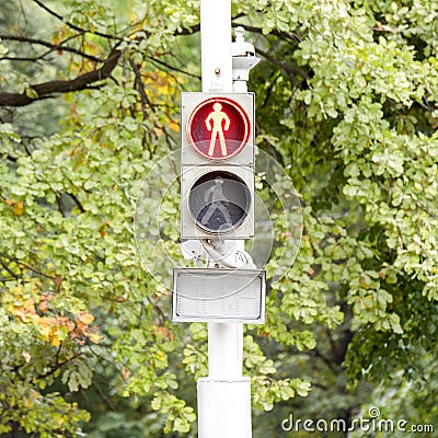 Traffic light with a red signal prohibiting movement of people Stock Photo