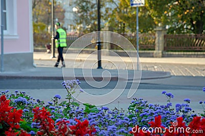 The traffic police inspector is doing his job. A man stands on a background of flower beds. Funny policeman loves flowers. Law Stock Photo