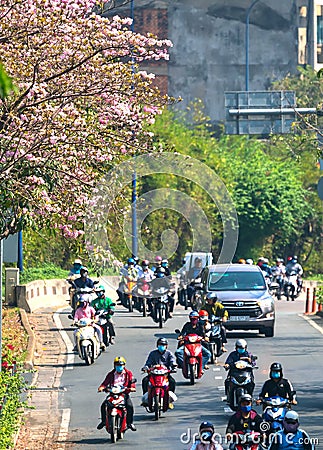 Traffic in Saigon street with motorbikes, car move under pink tabebuia rosea flower tree Editorial Stock Photo