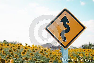 Traffic sign in sunflower garden Stock Photo