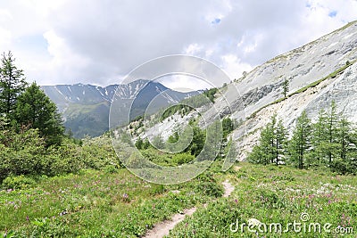 Trail in the Altai mountains meadow. Summer in Altai mountains Stock Photo