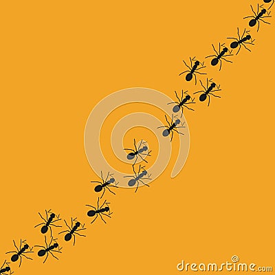 A trail of ants. Simple vector illustration on a white background Vector Illustration