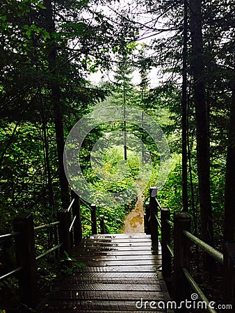 The Trail Awaits in Minnesota Stock Photo